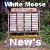 White Moose Road New's & Event's. The Best Road In All Of Sioux Narrows Township By Far !!
